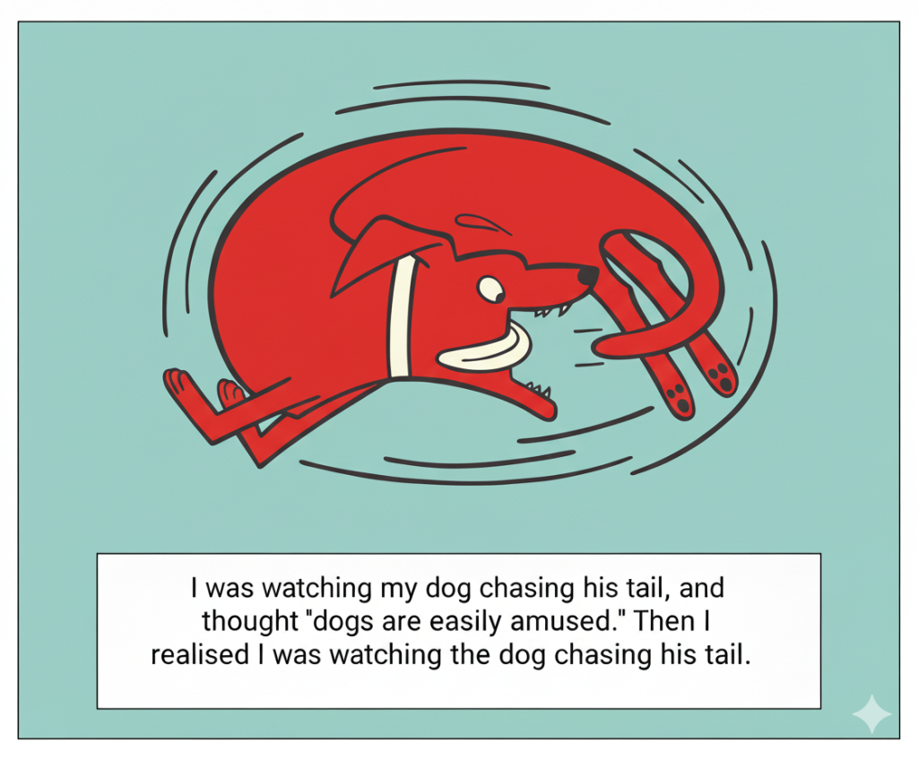 dog chasing its tail